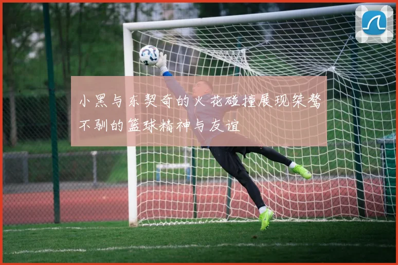 小黑与东契奇的火花碰撞展现桀骜不驯的篮球精神与友谊